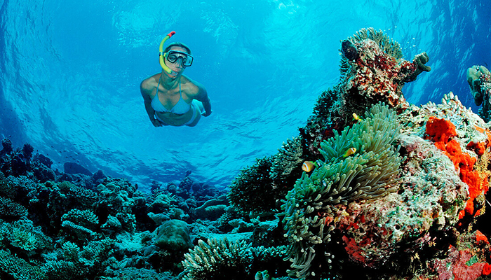 Orange Bay Island with Snorkeling & Diving Adventure