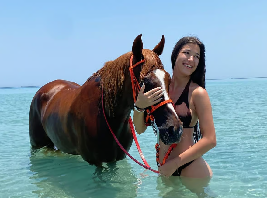 Hurghada: Beach & Desert Horse Riding + Swim with Horses