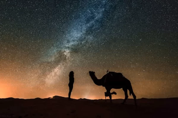 Hurghada Midnight Desert & Stargazing Experience