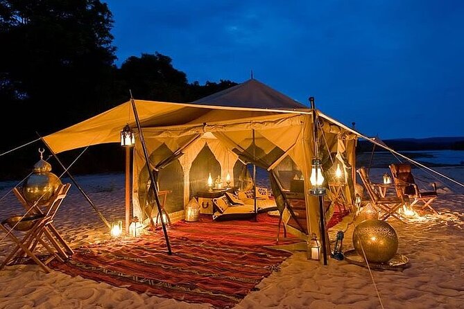 Hurghada Midnight Desert & Stargazing Experience